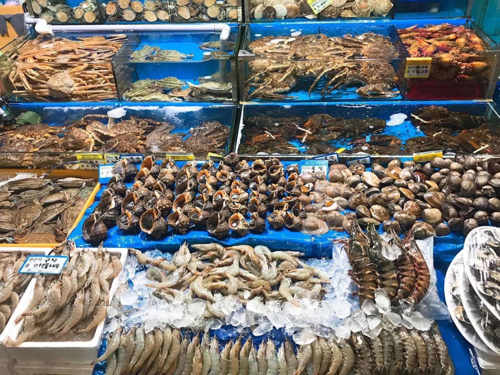 Chọn hải sản cũng phải cảnh giác